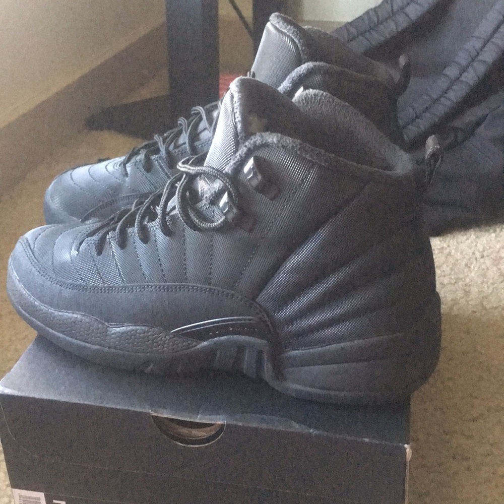 Air Jordan 12 Retro